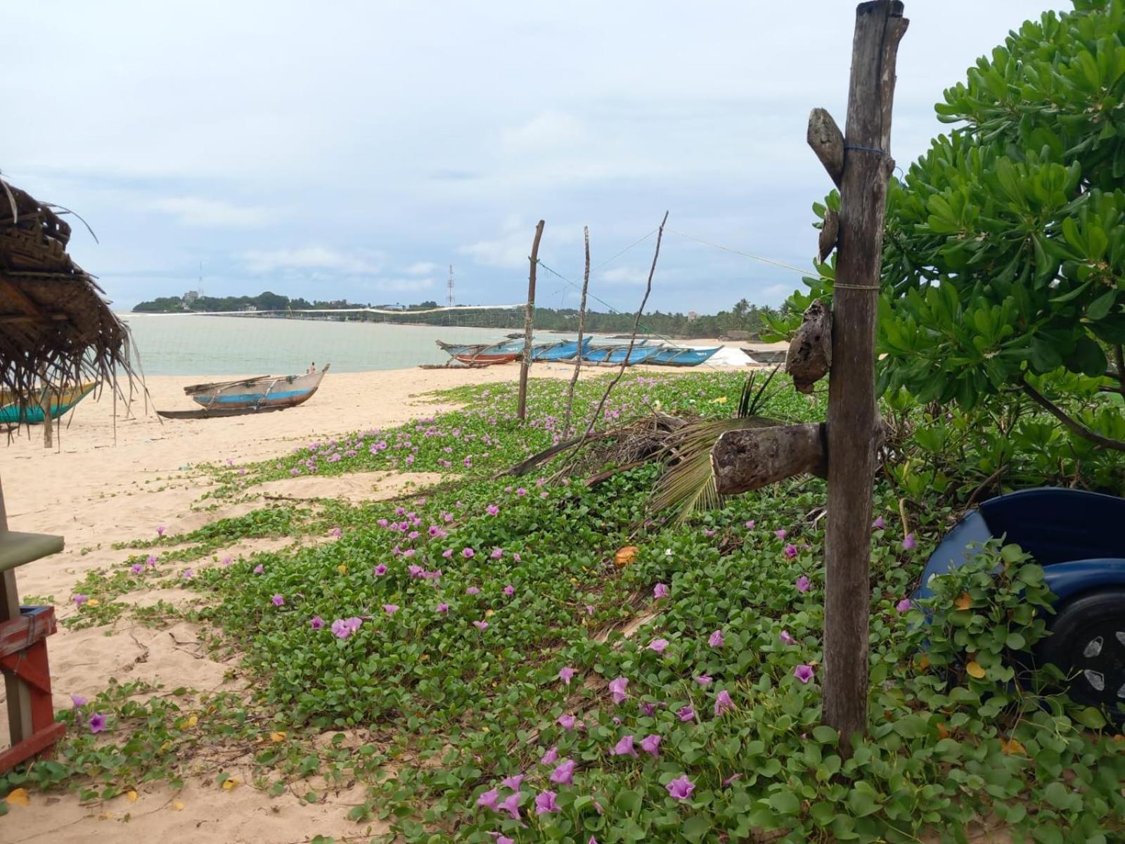 Blue Horizon Beach Hotel Tangalle Exterior photo